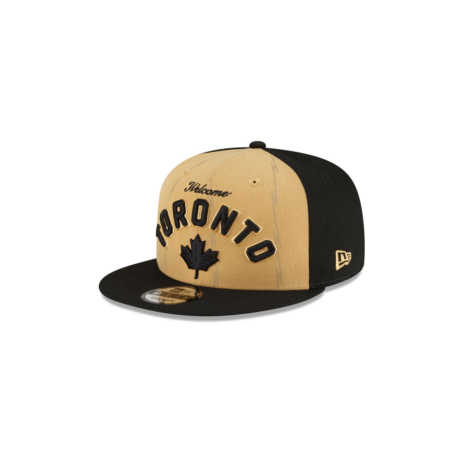 Toronto raptors clearance youth hat