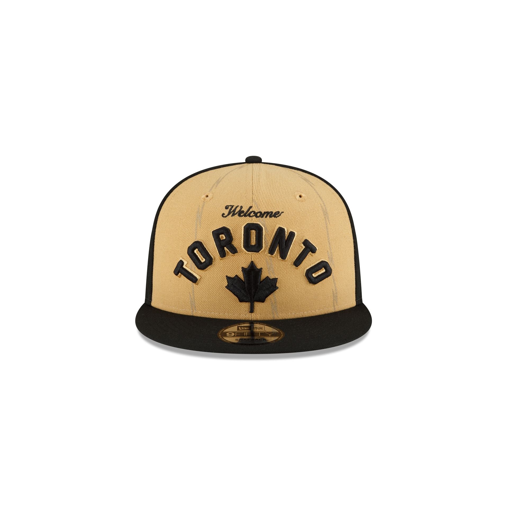 Youth cheap raptors hat