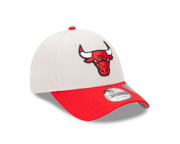 Chicago Bulls Repreve Two-Tone Stone Kids 9FORTY