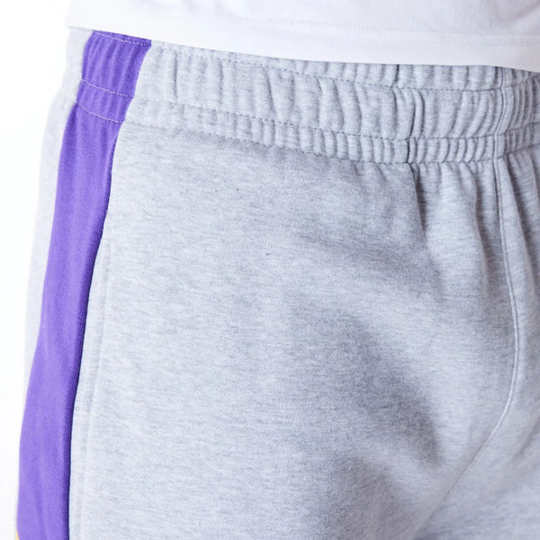 Los Angeles Lakers NBA Panel Shorts Grey