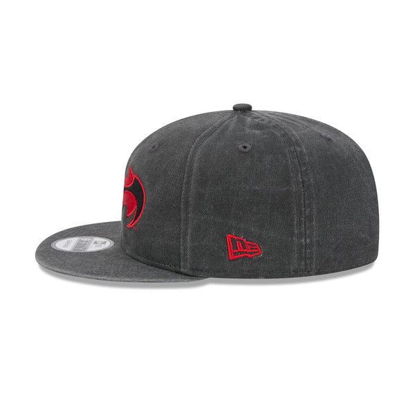 Batman and Robin 9FIFTY Snapback